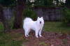 Deirdre loves to hang out in the backyard.